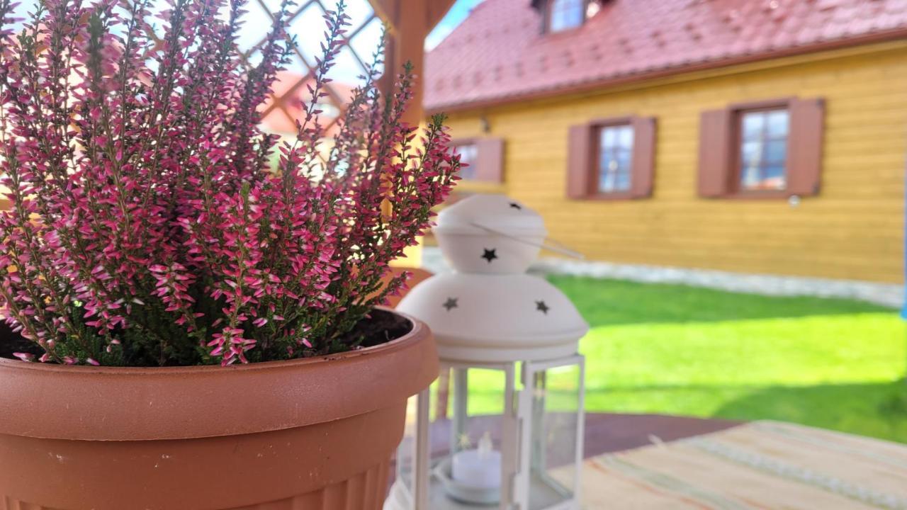 Holidayhouse Chalupa Alzbetka Važec Exteriör bild